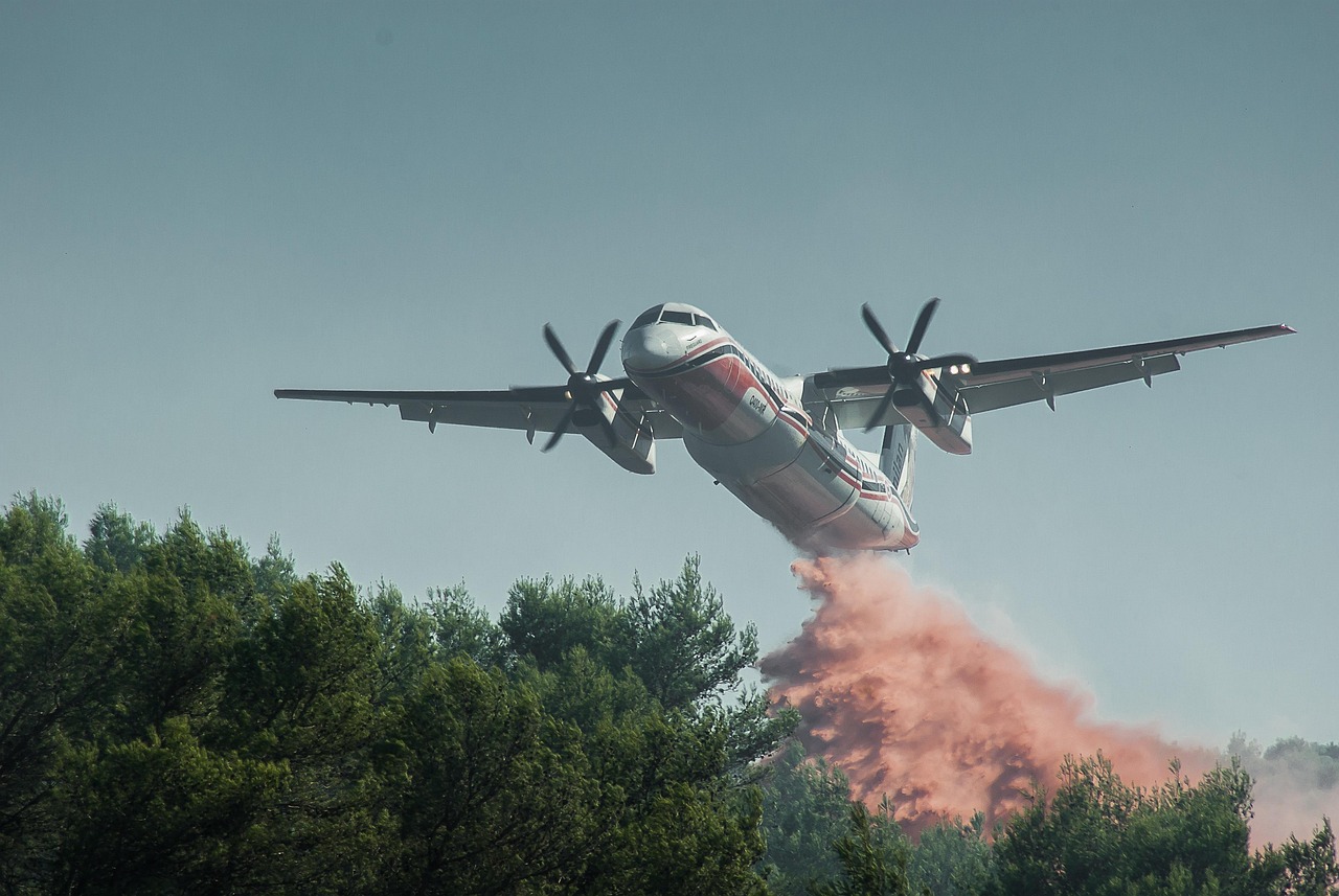 Incendios forestales de julio de 2026: así se protegió a las personas con discapacidad en las residencias evacuadas